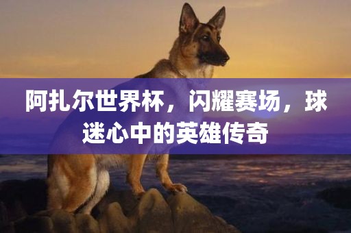 阿扎尔世界杯,闪耀赛场,球迷心中的英雄传奇